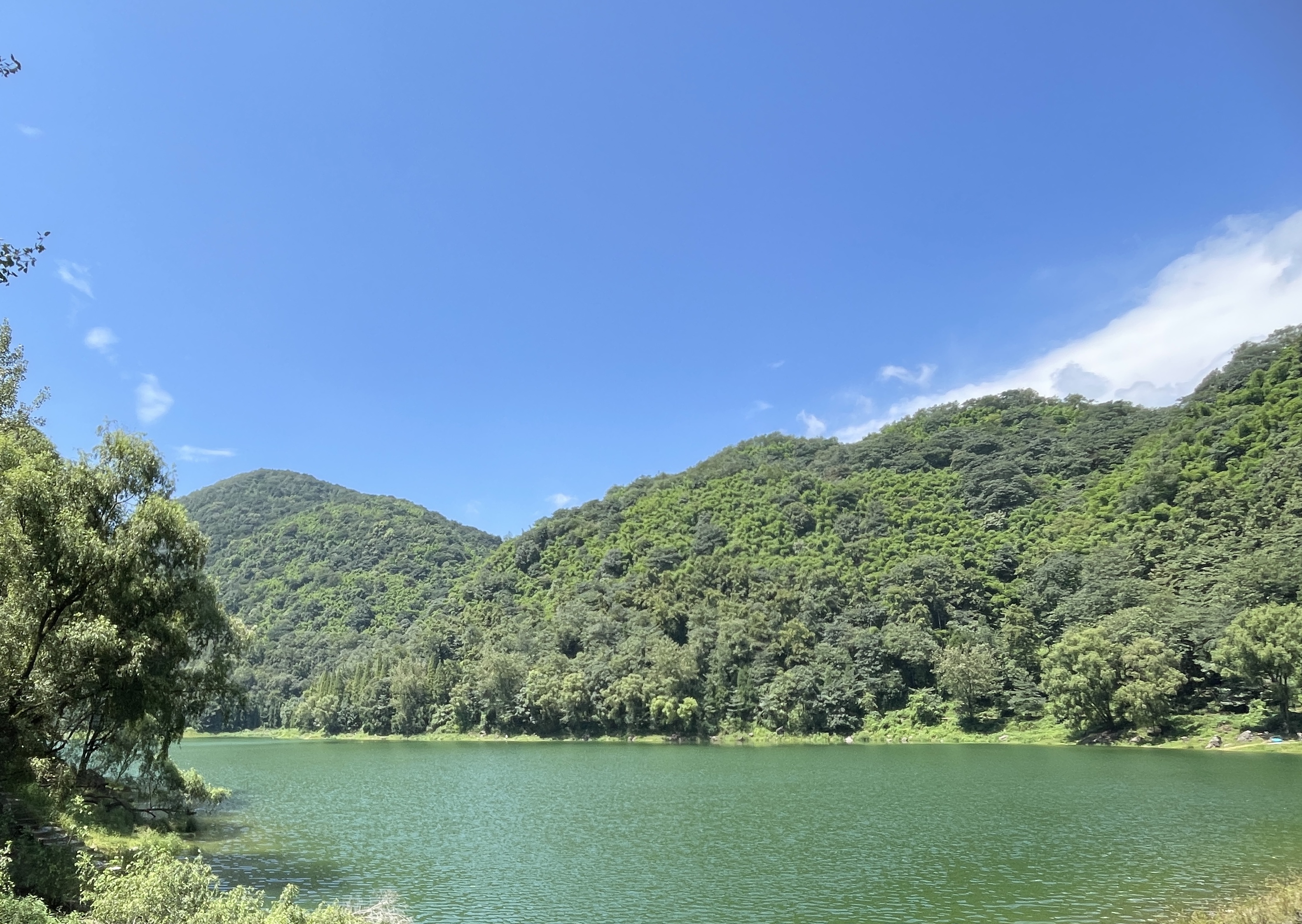 凝心聚力、清凉一夏——同益九盛团建旅游活动圆满结束